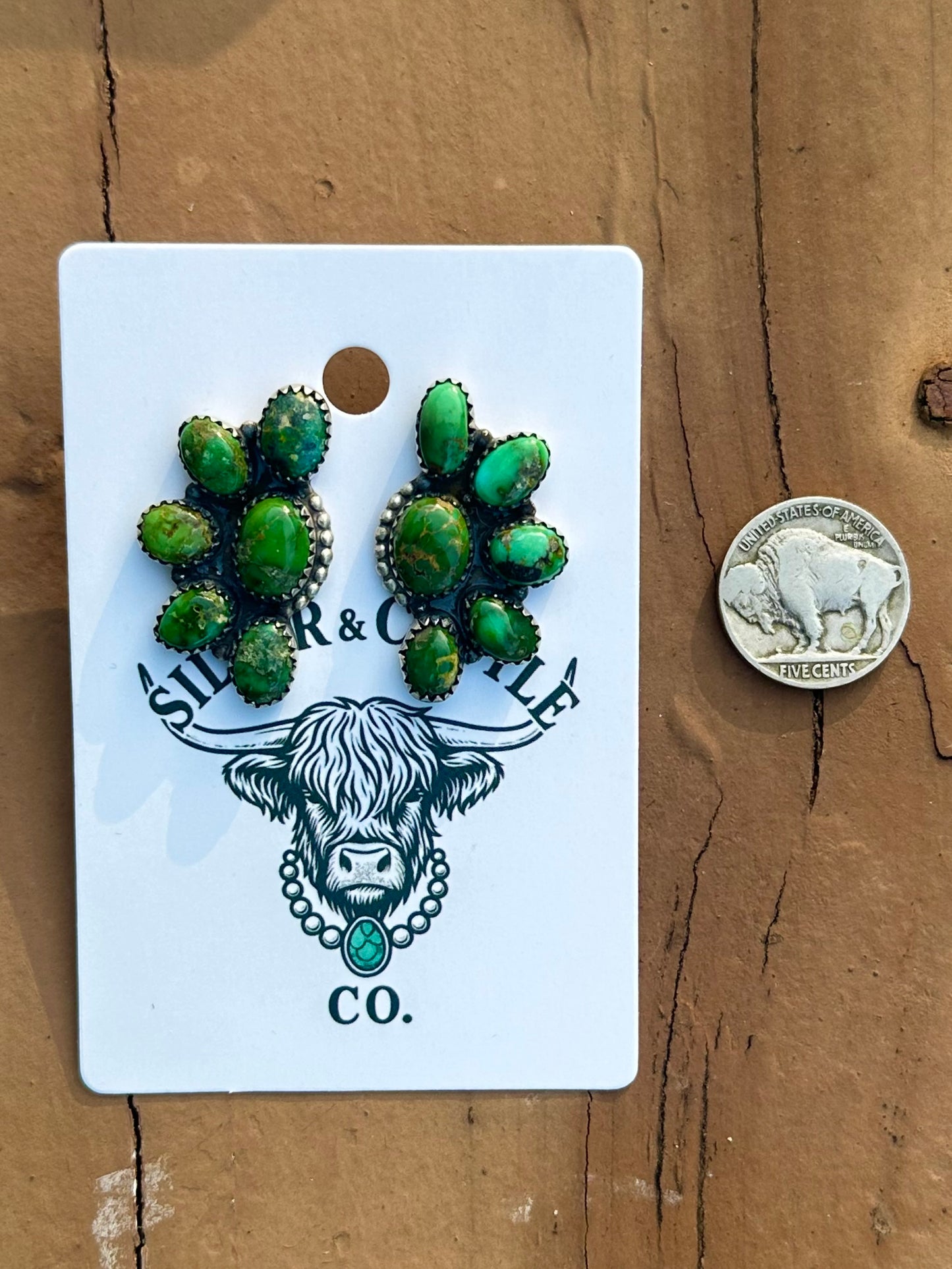 Sonoran earrings