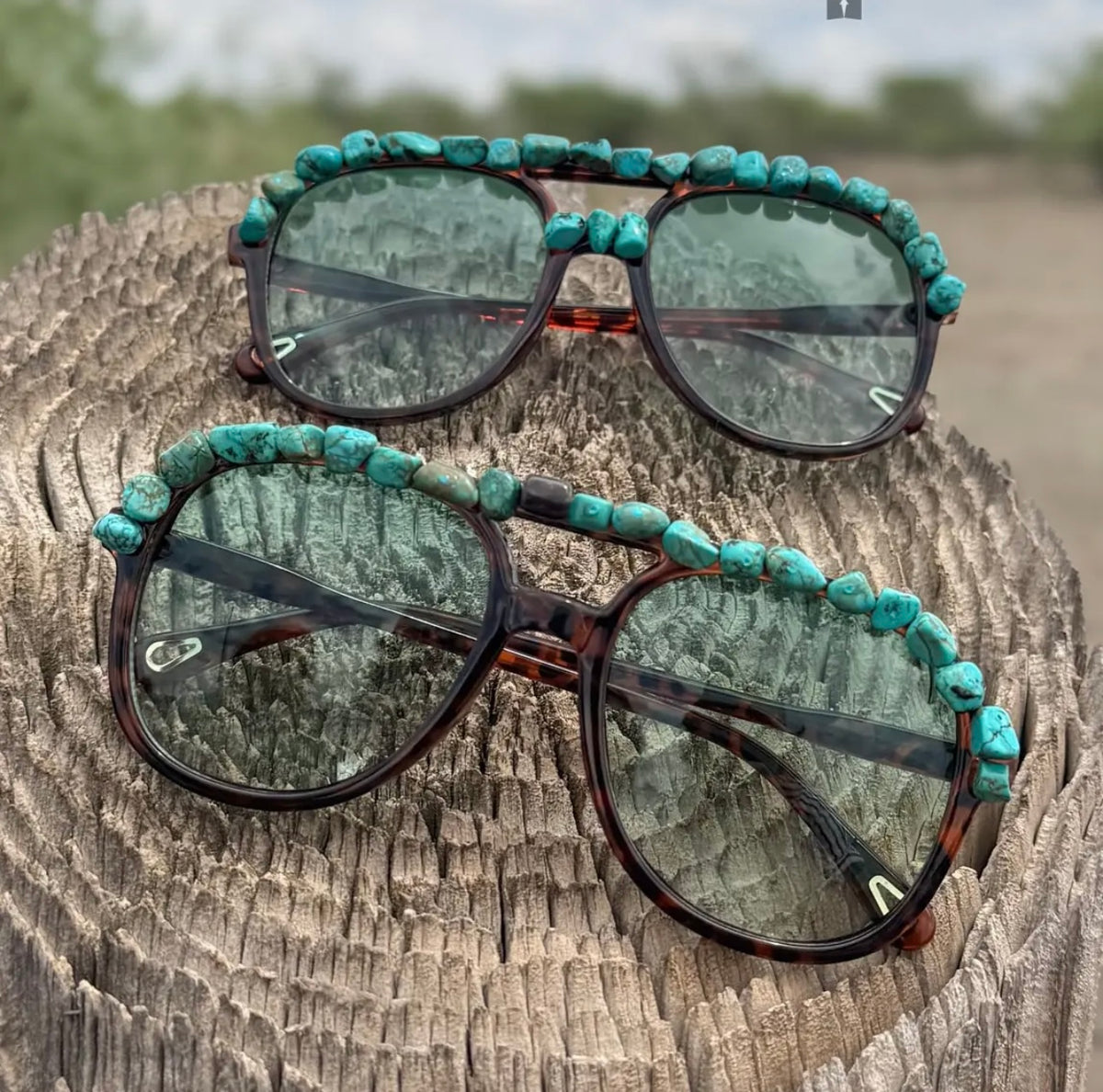 Sonoma sunglasses