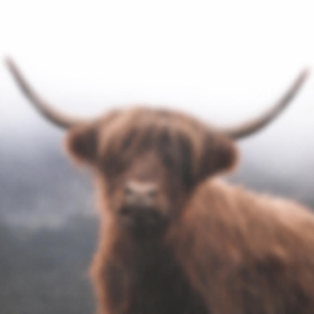 Apparel & Accessories