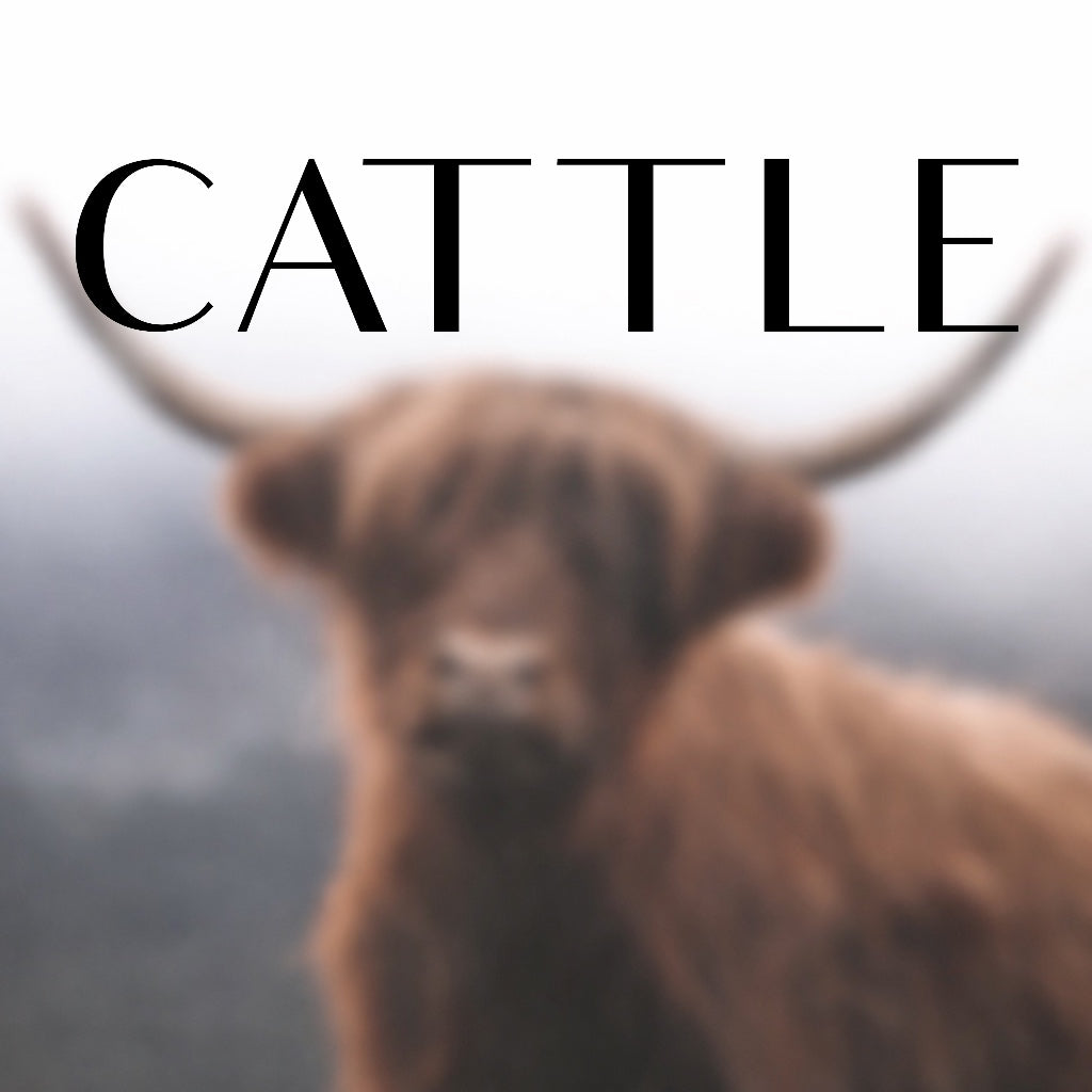 Hats, Hoodies & more