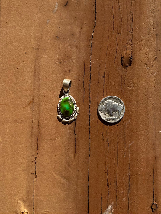 Sonoran pendant