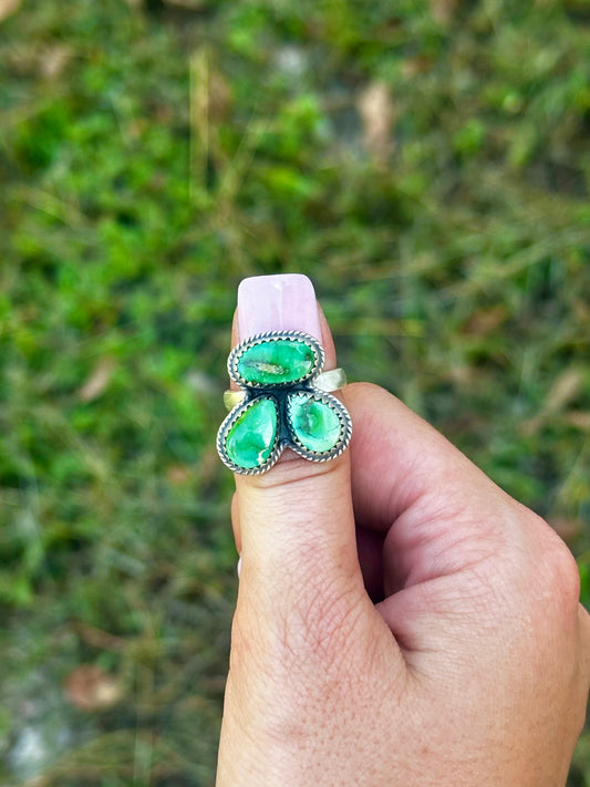 Adjustable Sonoran ring