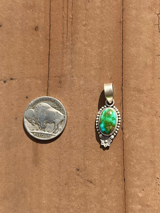 Sonoran pendant