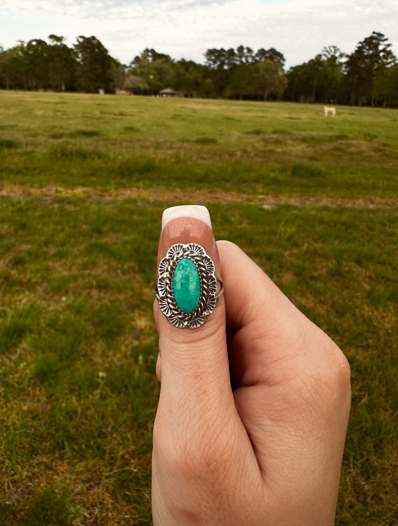 Turquoise Statement Ring by Navajo artist Priscilla Smith