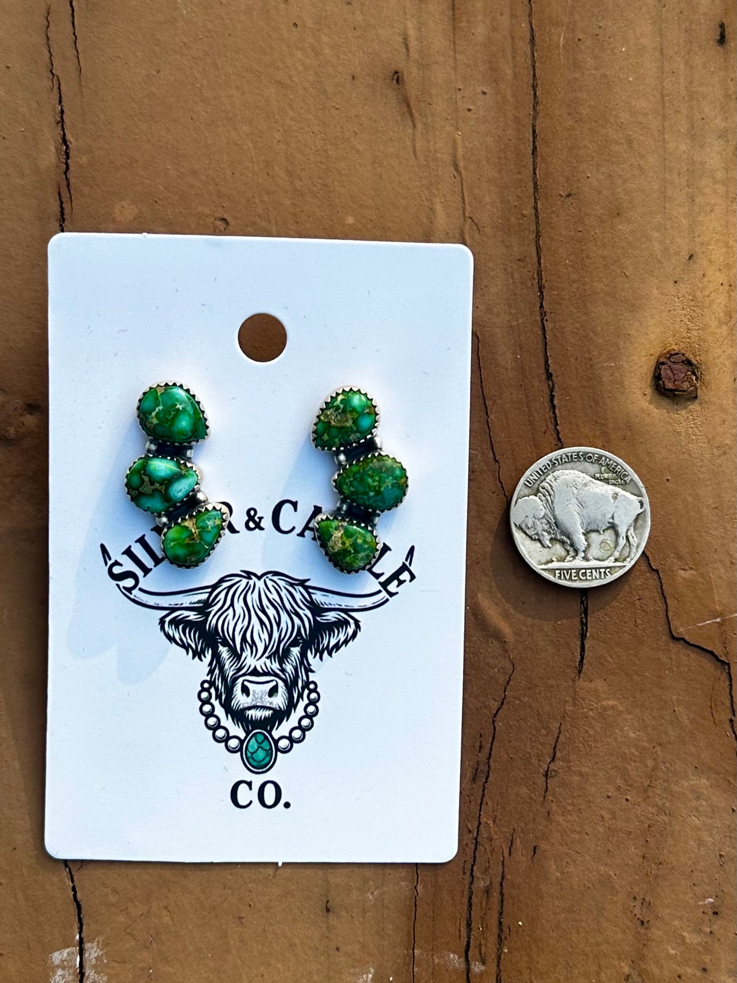 Sonoran earrings