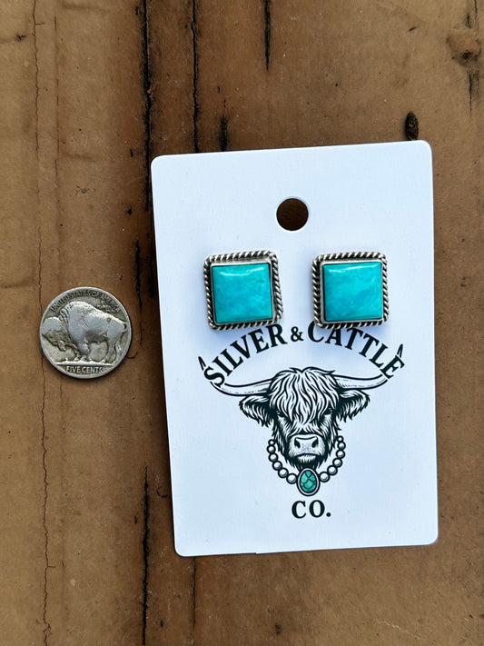 Turquoise earrings by Navajo artist Judith Dixon